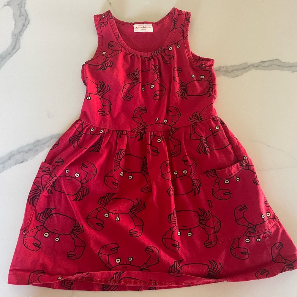 Hanna Andersson pocket dress
